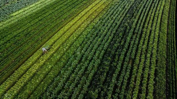 Leia mais sobre o artigo Presidente da NTC comenta a alta demanda do agronegócio e o uso das estradas nacionais nos últimos 10 anos