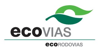 Leia mais sobre o artigo Manutenção emergencial da pista sul – SP 160