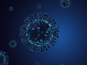 Leia mais sobre o artigo São Paulo aborda caminhoneiros para conter nova cepa da Índia