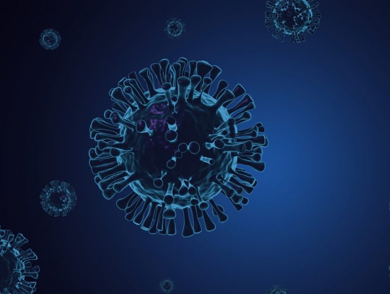 Leia mais sobre o artigo São Paulo aborda caminhoneiros para conter nova cepa da Índia