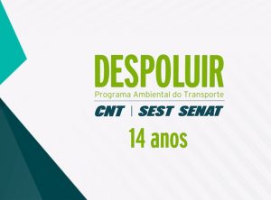 Leia mais sobre o artigo Despoluir completa 14 anos