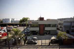 13_TRANSREMOÇÃO_FOTO