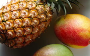 Leia mais sobre o artigo Secretário diz que produtos não cultivados nos EUA podem ficar isentos